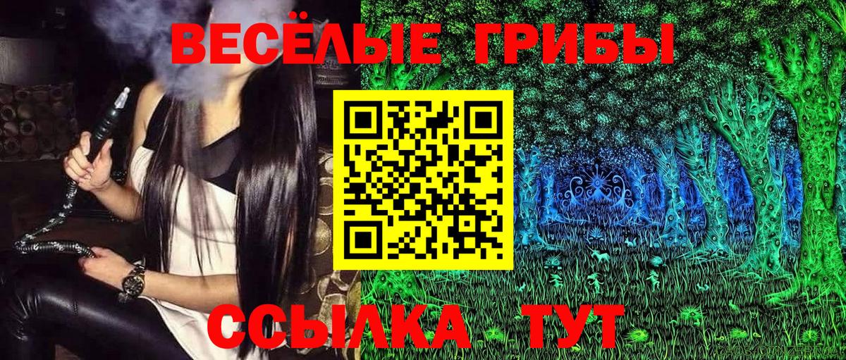 Галлюциногенные грибы Psilocybine cubensis  Вход с VPN  Полевской 